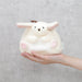 うさぎ