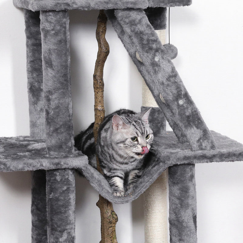 ねこの休ら木　マロン